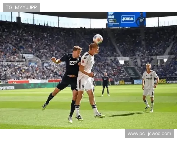 霍芬海姆主帅与球迷击掌，欧冠资格在望