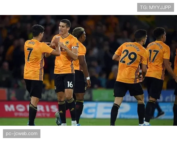 现场:狼队对阵埃弗顿,VAR长时间介入判罚引发主队球迷不满